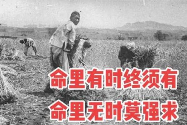 2002年命运分析：探索命中缺失的美好与补救之道