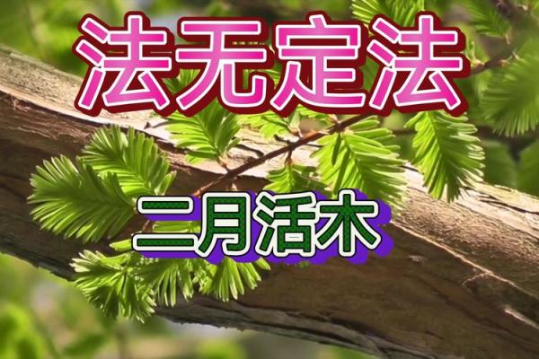 木命人平时如何注意自身发展与健康，提升生活质量？
