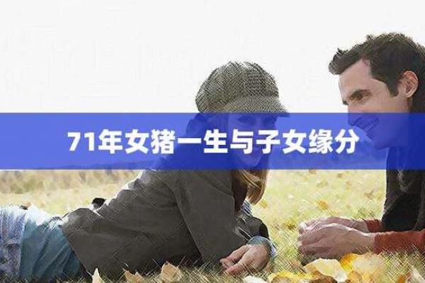 71年命运揭秘：揭开猪年人一生的神秘面纱