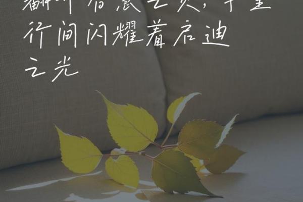 深入探讨僧尼命理特征：静谧内心与智慧启迪的结合之道