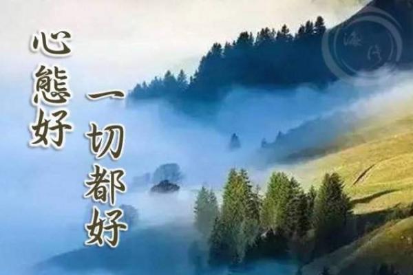 87岁属猪的命运解析：揭示人生的智慧与财富之道