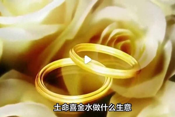 墙头土命：探寻命理中的独特土属性与人生影响