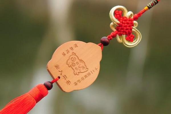 2019年属猪宝宝的命运解析：正月出生的他们注定不同凡响！