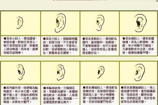 女孩面相解析：揭示她的命运与性格特征