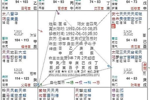 紫薇天子的命运解码：如何借助紫微斗数掌控人生方向