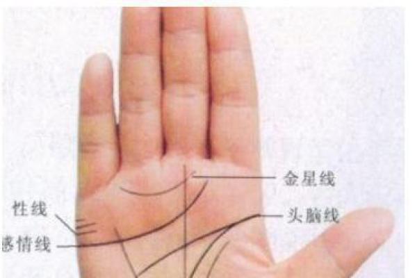 揭开月牙手纹的奥秘：看你命运的美丽迹象