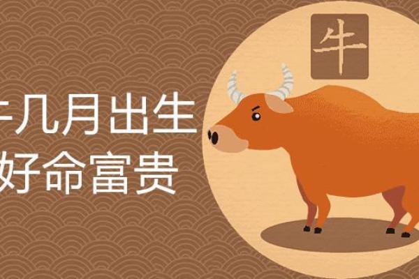 2017年出生的孩子命运解析：看星辰如何影响他们的一生