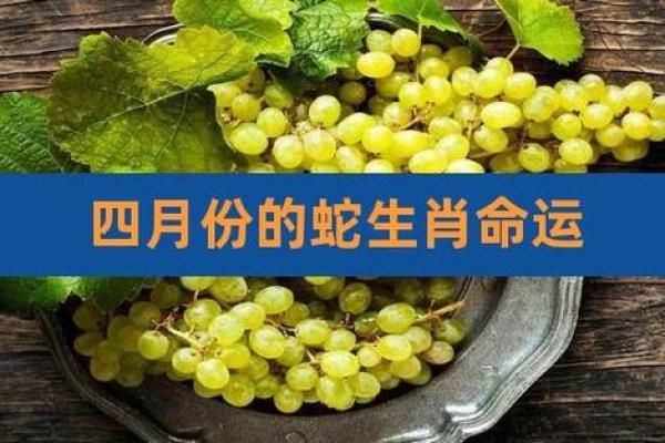 属蛇人最适合的月份与命运解析
