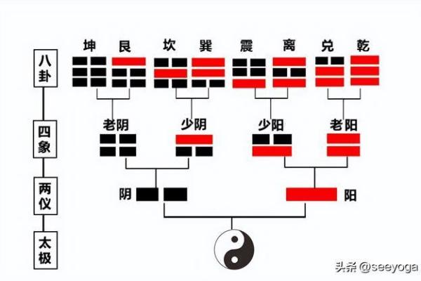探秘华盖与童子命:命理中的独特现象与人生奥秘 探秘华盖与童子命:命理中的独特现象与人生奥秘