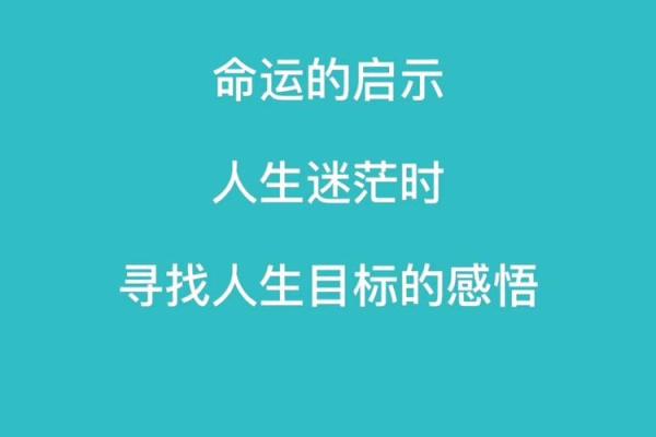 2002年:水命年的神秘魅力与命运启示 2002年:水命年的神秘魅力与命运启示