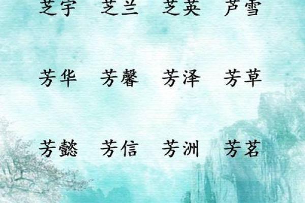 2019木命宝宝起名指南:揭秘缺什么与优雅的名字选择 2019木命宝宝起名指南:揭秘缺什么与优雅的名字选择