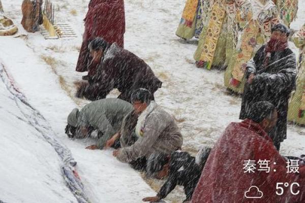 82年农历正月十三命理解析：八字揭秘与人生指导