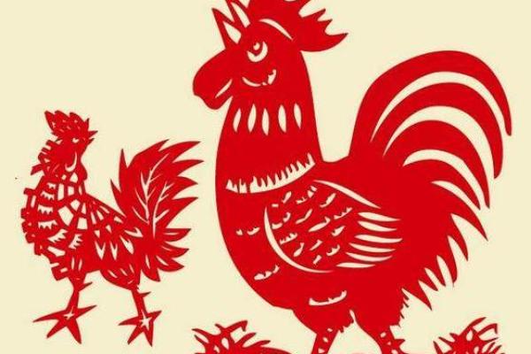 1993年属鸡男士命运解析与人生指导 1993年属鸡男士命运解析与人生指导