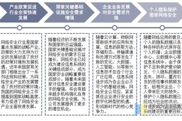 1949年出生者的命运分析：一生的机遇与挑战