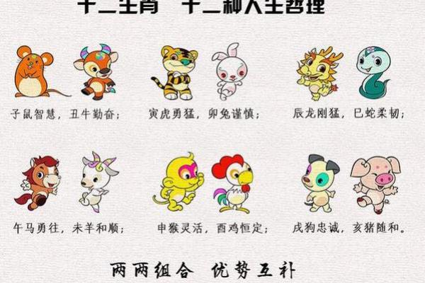 2013年出生的生肖与命理解析:探寻你的命运轨迹与人生方向 2013年出生的生肖与命理解析:探寻你的命运轨迹与人生方向