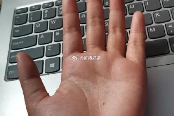 揭秘簸箕命女人：手相与命运的神秘关联