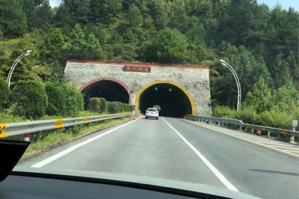 探索六九年鸡的命理魅力与人生旅程 探索六九年鸡的命理魅力与人生旅程