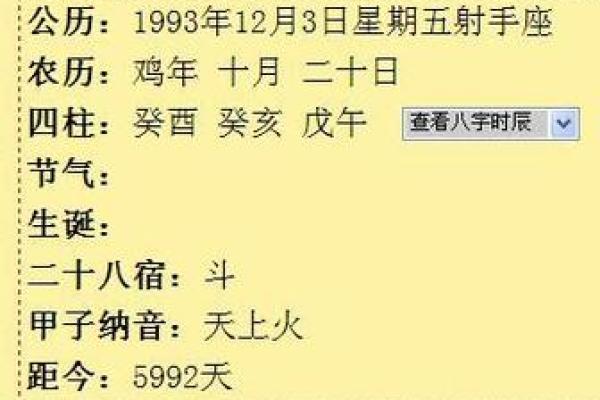 1982属狗水命的人生智慧与幸运数字探索 1982属狗水命的人生智慧与幸运数字探索