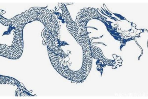 1981属龙之命:揭示其性格特征与事业运势 1981属龙之命:揭示其性格特征与事业运势