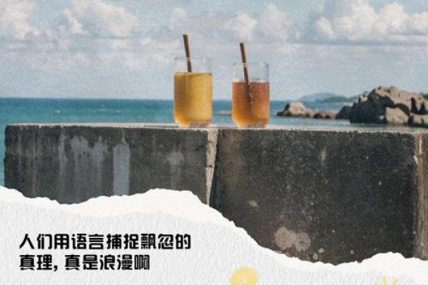 如命的深刻含义与生活智慧：探寻生命中的意义与价值
