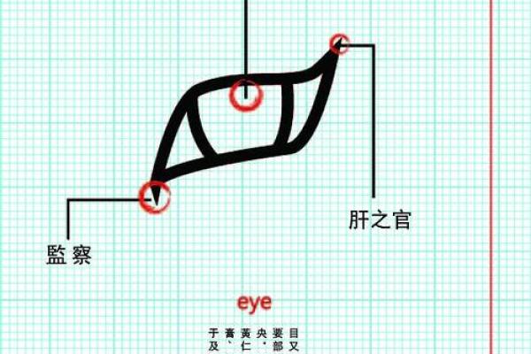 探索2017五行命理：揭开命运的神秘面纱