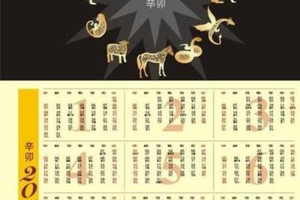 属猪二七岁：命运与人生的探索之旅