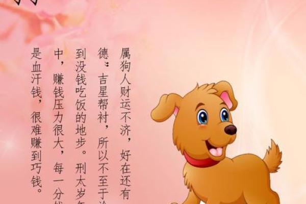 1965年属狗之命运解析：倾听狗年的智慧与运势
