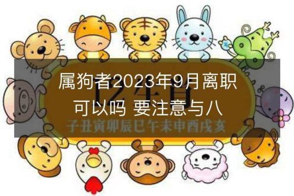 1994年属狗男性：命理解析与人生发展之路