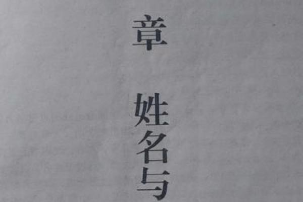 2019年属什么命：解析你的命理以及如何把握人生机遇