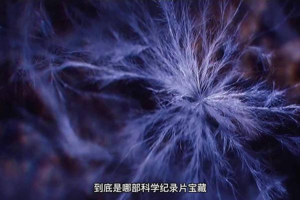 在宇宙的边缘：高达种子命运交响曲的探索之旅