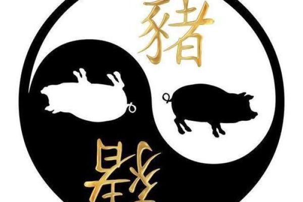 2020年属猪人命理分析：揭秘你的命运与生活运势