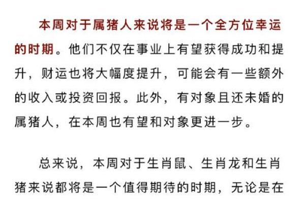 2023年属猪人运势解析：命理与生活的完美结合