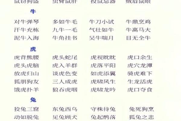 2025年是什么命年？探索生肖与个人命运的奥秘