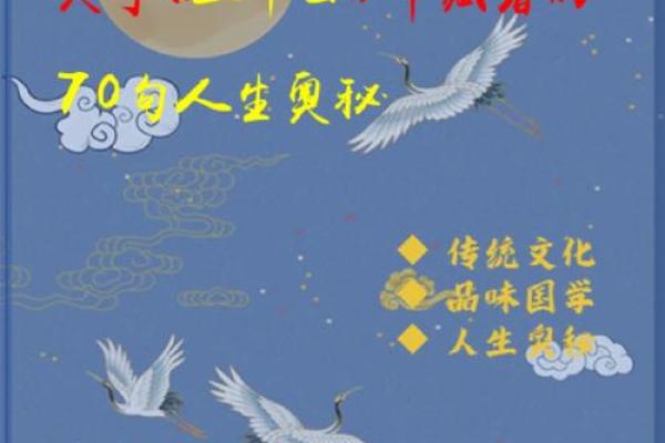 2078年属什么命：解密命理与人生的奥秘