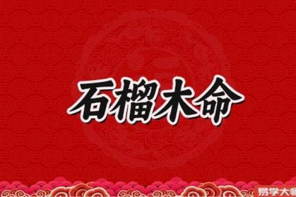 石榴木命男人与最合适的命格：寻觅命中注定的伴侣之旅