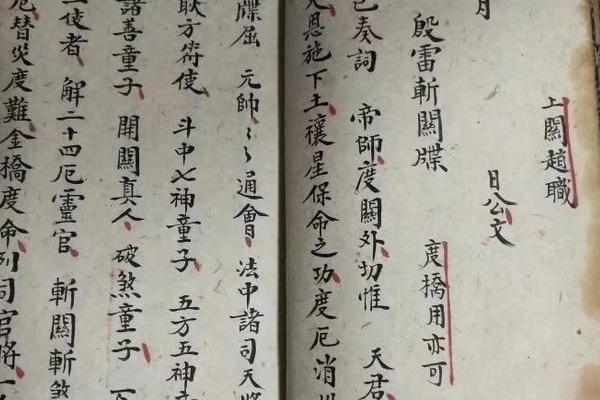 童子命人如何选择佛号与修行之路的探讨
