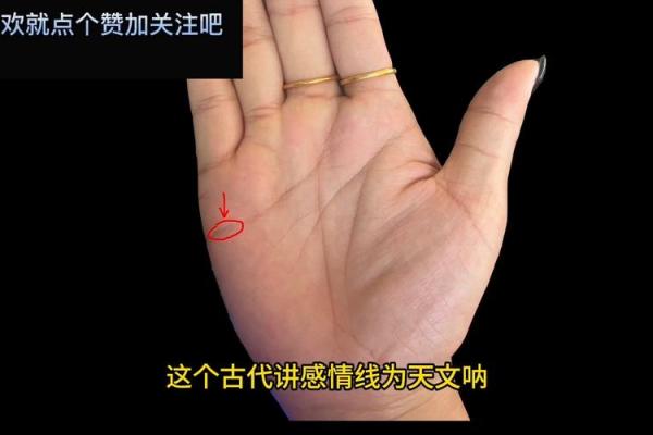 少奶奶命与富婆命：谁的生活更令人羡慕？