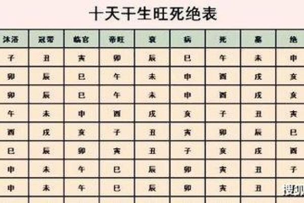 女命喜外财旺相之命的深层解析与生活启示