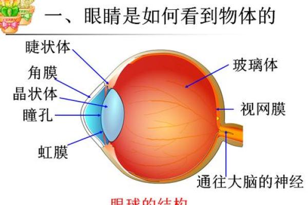 瞳孔旁边的黑点揭示你潜在的命运秘密