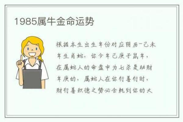 85属牛命忌讳解析：助你平步青云的风水指南
