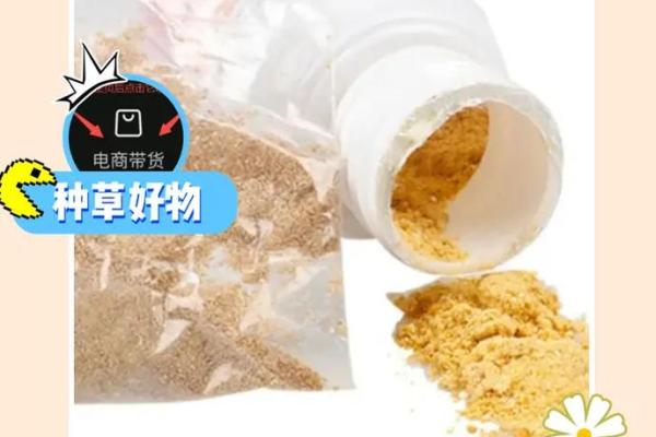 养蜜蜂的最佳命理揭秘，你适合吗？