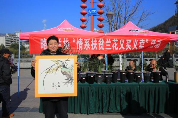 揭开抽签兰花的神秘面纱：解读其命义与文化底蕴