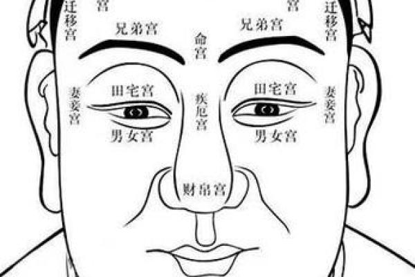 深度剖析：下巴圆润的男人有哪些命运特征与性格解析！