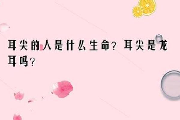 早命人有哪些独特的特征和生活方式？