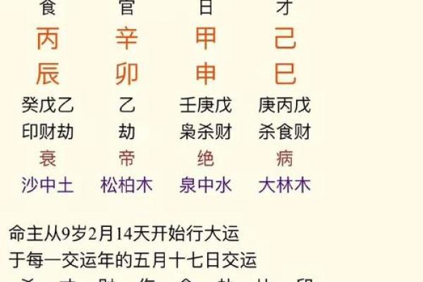 查询命理，探索自我：如何通过生辰八字了解自己的命运