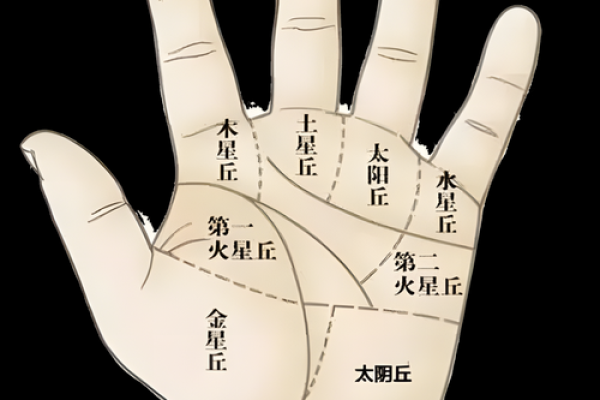 男人的手修长与命运的秘密：深入分析手相学中的手长之谜