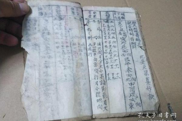 属相与命理：揭开你的命运之谜
