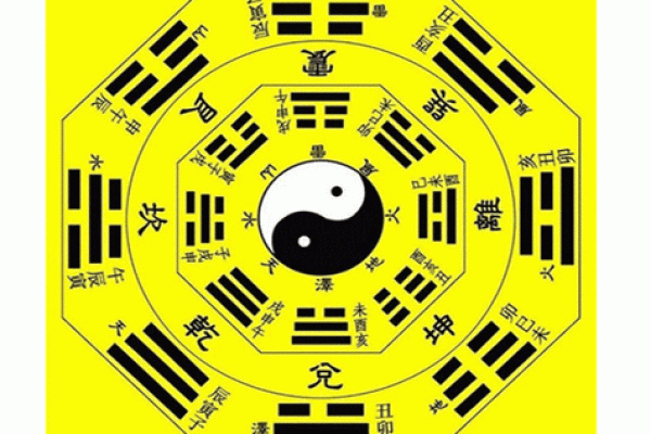 深入解读：2001年出生的人命理特征与缺失元素分析