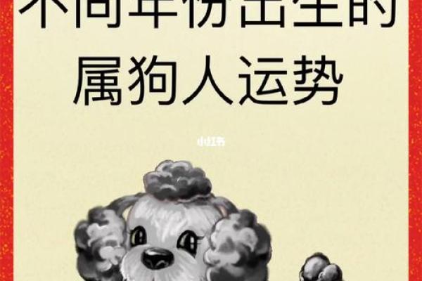 94年狗年：性格、命理与人生发展之道