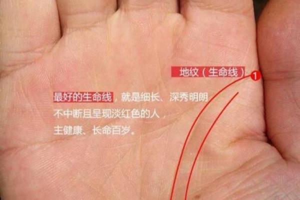 探索长命之谜：最长寿命的人具备怎样的命理特征？